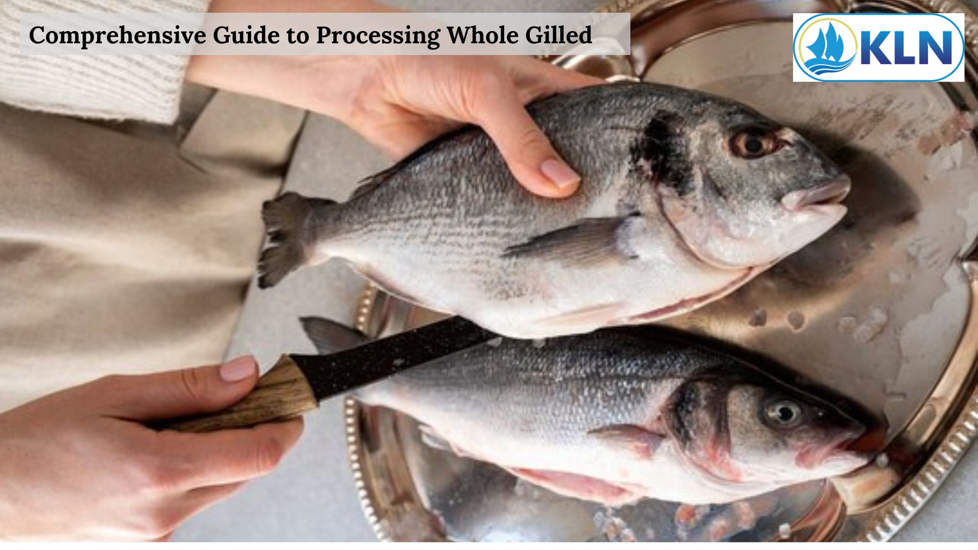 Comprehensive Guide to Processing Whole Gilled